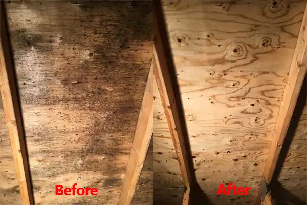 water damage restoration service Kenvil